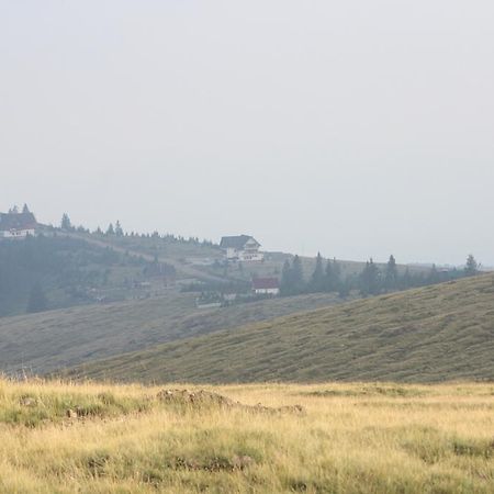Pensiunea Muntele Alb Horezu Buitenkant foto